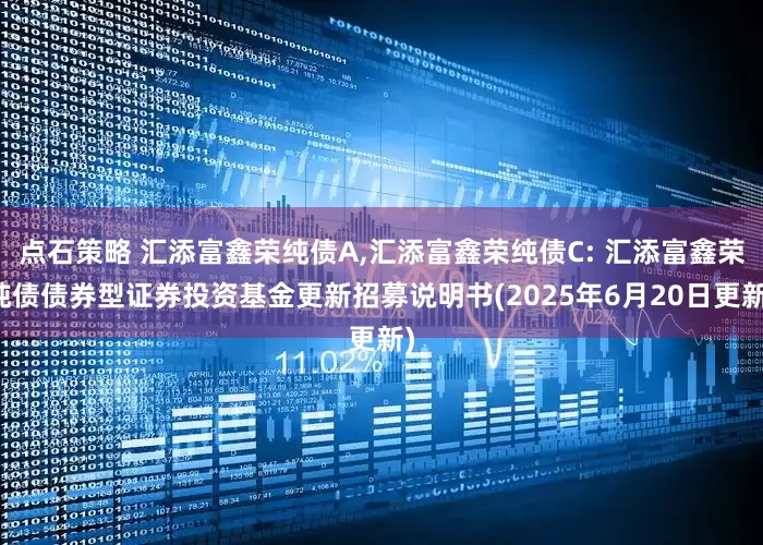 点石策略 汇添富鑫荣纯债A,汇添富鑫荣纯债C: 汇添富鑫荣纯债债券型证券投资基金更新招募说明书(2025年6月20日更新)