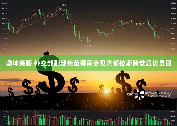 鼎坤策略 外交部副部长苗得雨会见洪都拉斯跨党派议员团
